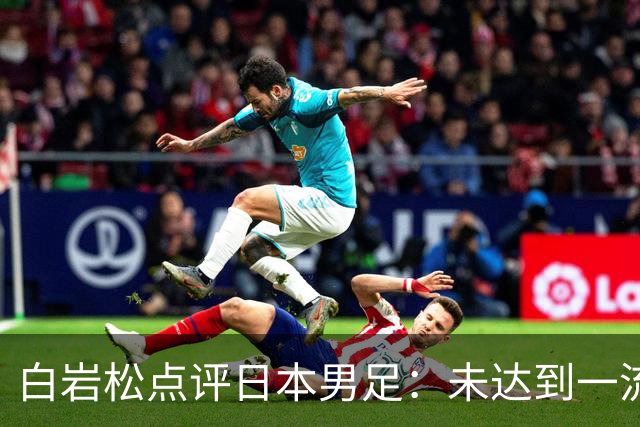 白岩松点评日本男足：未达到一流强队标准，仍需克服对荷兰的恐惧